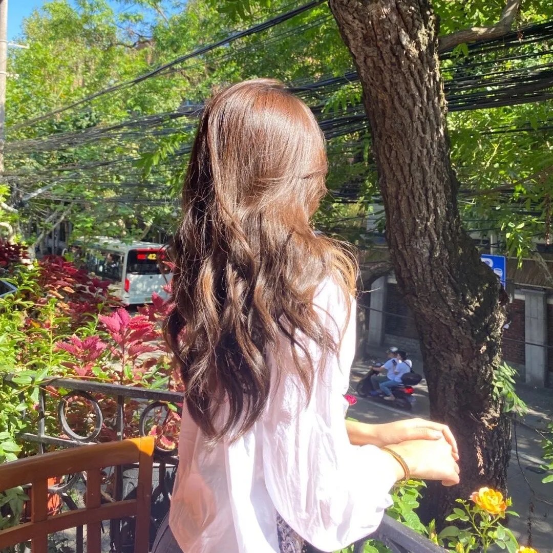 苏菲的世界