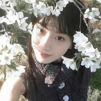 沉香如屑·沉香重华